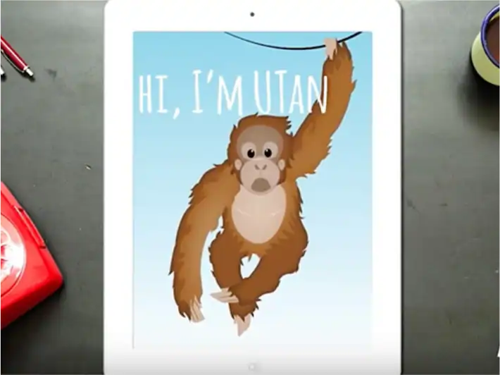 UNESCO Orangutan Preservation Video
